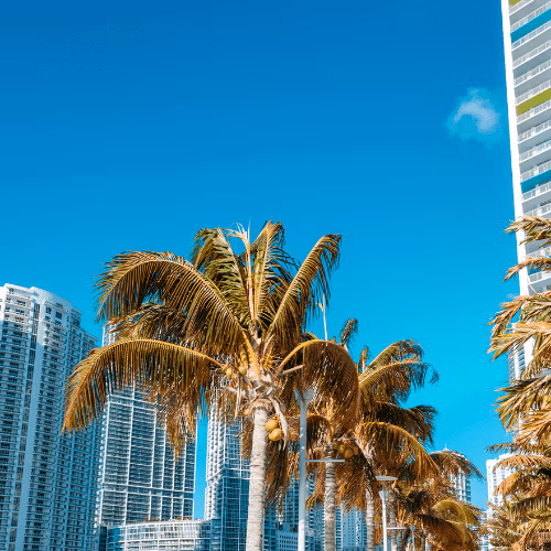 Condo Insurance - Pandora Insurance